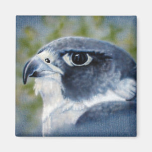 Peregrine-airbrush Magnet