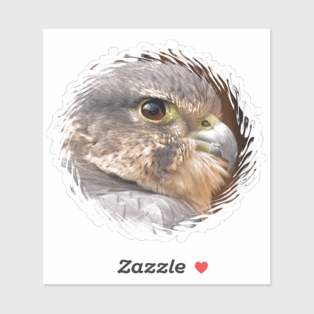 PEREGRINE FALCON (Sheet)