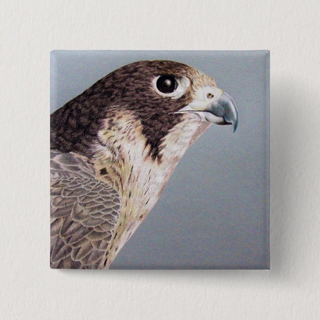 Peregrine Falcon 15 Cm Square Badge (Front)