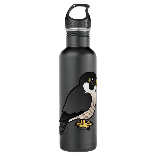 Peregrine Falcon 710 Ml Water Bottle (Front)