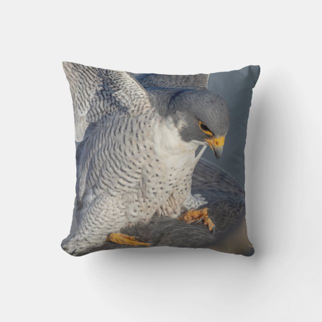 Peregrine Falcon along the Hudson River Cushion (Front)