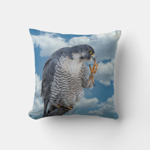 Peregrine Falcon along the Hudson River Cushion