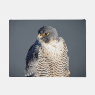 Peregrine Falcon along the Hudson River Doormat