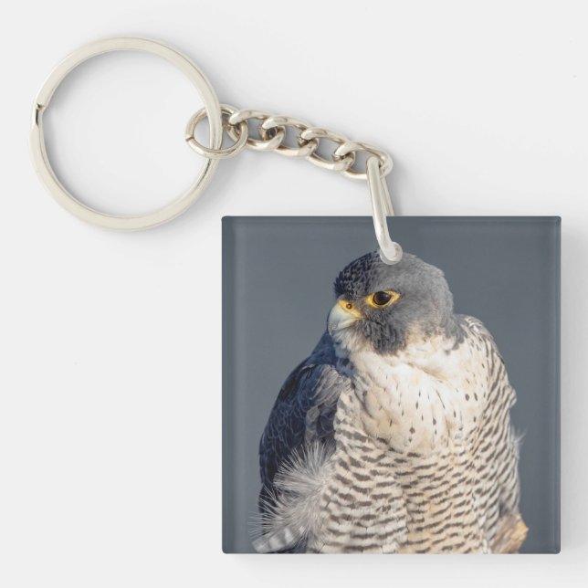 Peregrine Falcon along the Hudson River Key Ring (Front)