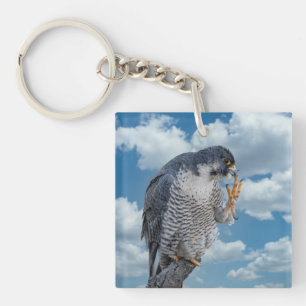 Peregrine Falcon along the Hudson River Key Ring