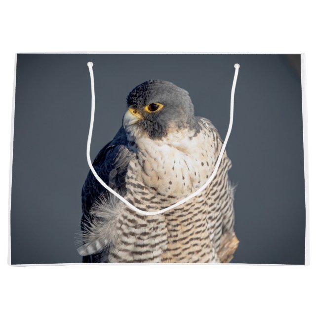 Peregrine Falcon along the Hudson River Large Gift Bag (Front)