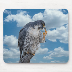 Peregrine Falcon along the Hudson River Mouse Mat