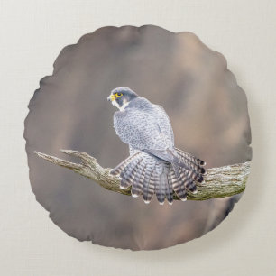 Peregrine Falcon at the Palisades Interstate Park Round Cushion