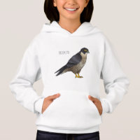 Peregrine falcon bird cartoon illustration