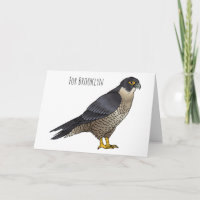 Peregrine falcon bird cartoon illustration 