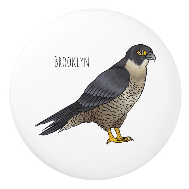 Peregrine falcon bird cartoon illustration ceramic knob (Front)