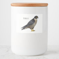 Peregrine falcon bird cartoon illustration