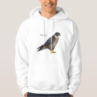 Peregrine falcon bird cartoon illustration