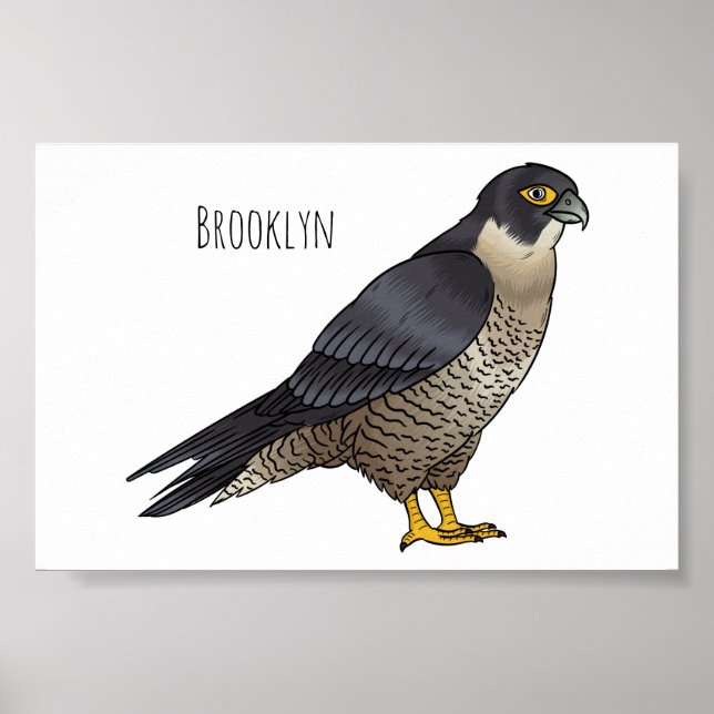 Peregrine falcon bird cartoon illustration poster (Front)