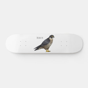 Peregrine falcon bird cartoon illustration skateboard