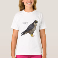Peregrine falcon bird cartoon illustration