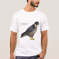 Peregrine falcon bird cartoon illustration