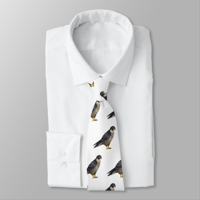 Peregrine falcon bird cartoon illustration  tie (Tied)