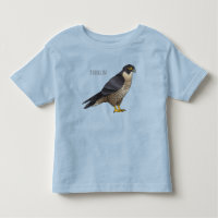 Peregrine falcon bird cartoon illustration