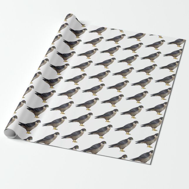 Peregrine falcon bird cartoon illustration  wrapping paper (Unrolled)