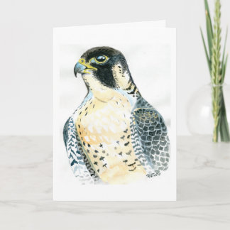 Peregrine Falcon Birthday Card