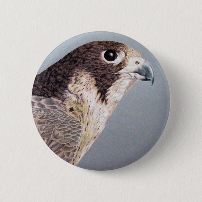 Peregrine Falcon Button (Front)