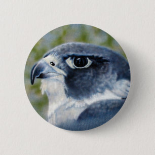 Peregrine Falcon Button