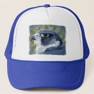 Peregrine Falcon Cap