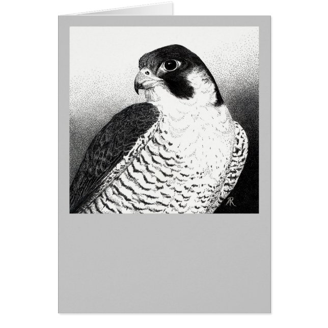 Peregrine Falcon Card (Front)