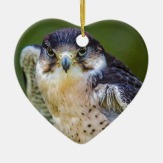 Peregrine Falcon Ceramic Tree Decoration
