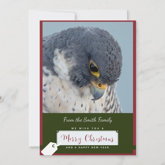 Peregrine Falcon Christmas Card (Front)