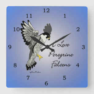 Peregrine Falcon Clock