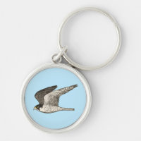 Peregrine Falcon cool bird illustration