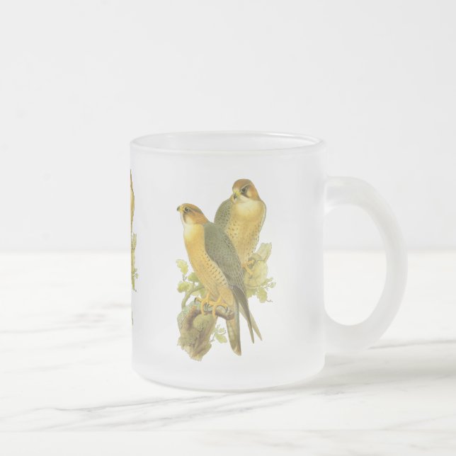 Peregrine Falcon Frosted Glass Coffee Mug (Right)