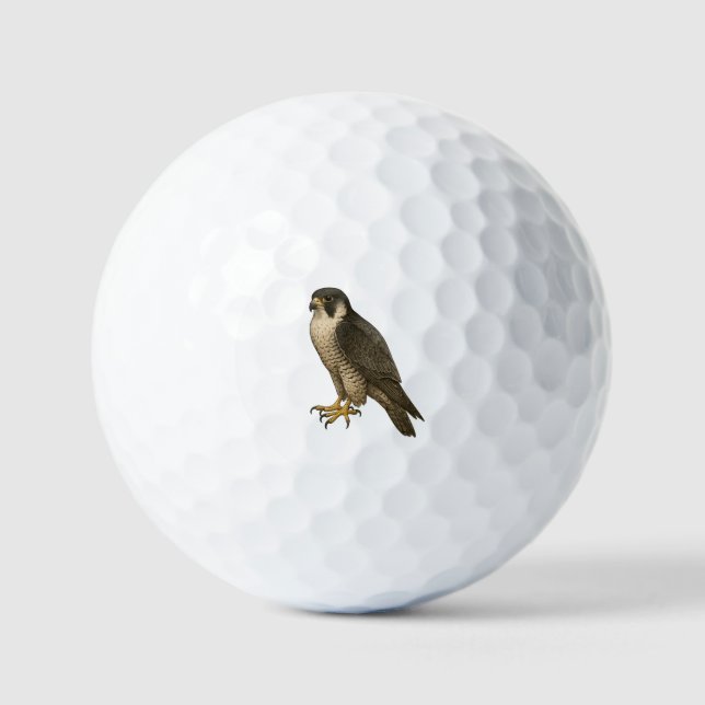 Peregrine Falcon Golf Balls (Front)