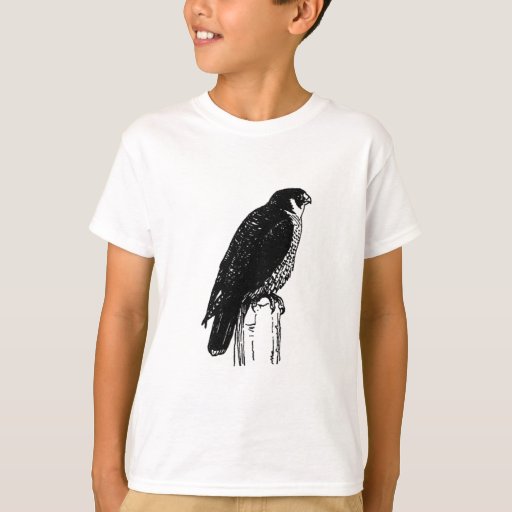 Image of Peregrine Falcon (illustration) T-shirt