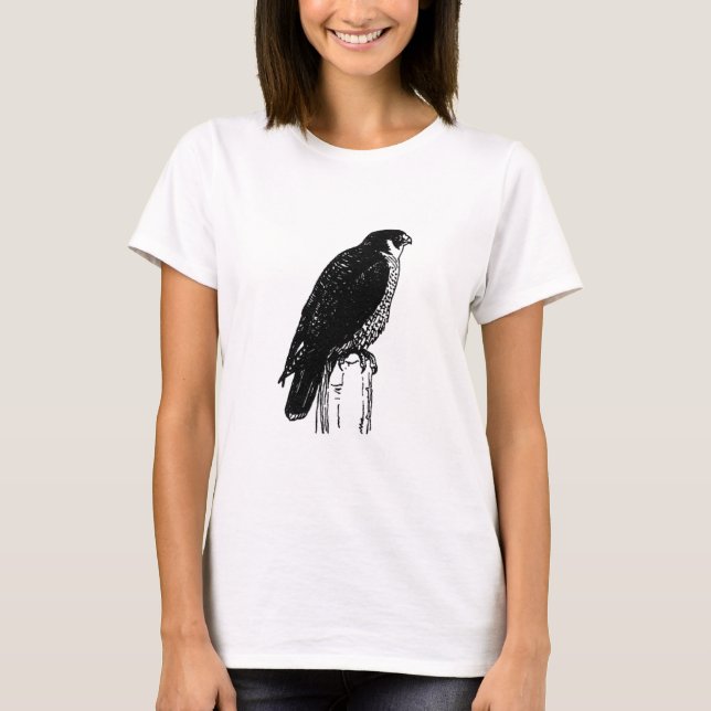Peregrine Falcon (illustration) T-Shirt (Front)