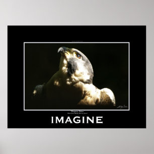 PEREGRINE FALCON Imagine Motivational Poster