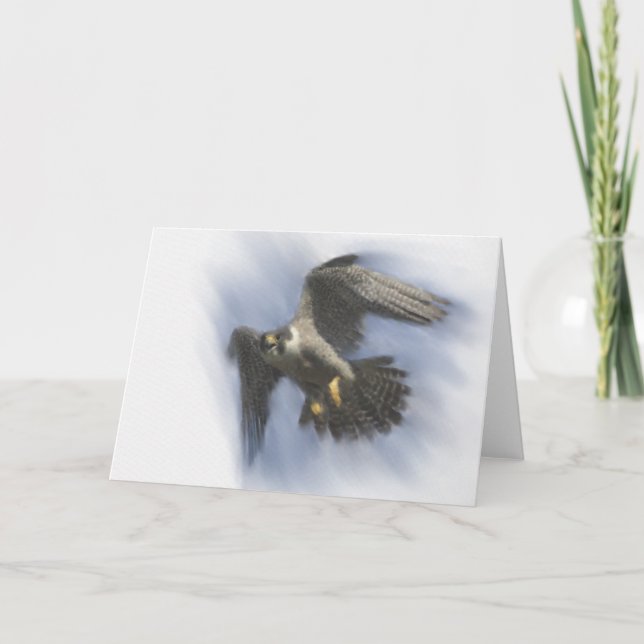 Peregrine Falcon in Flight Card (Front)