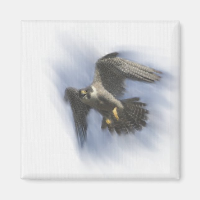 Peregrine Falcon in Flight Magnet (Front)