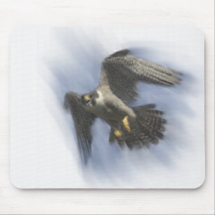 Peregrine Falcon in Flight Mouse Mat