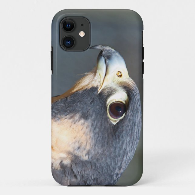 Peregrine Falcon in Profile Case-Mate iPhone Case (Back)
