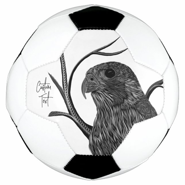 Peregrine Falcon in Tree Branches with Handwriting Football (Front)