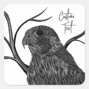 Peregrine Falcon in Tree Branches with Handwriting Square Sticker