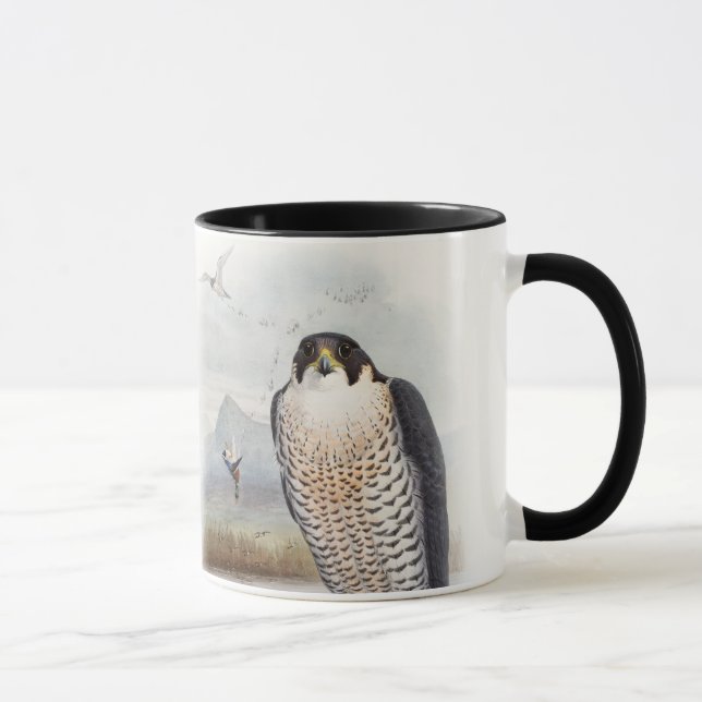 Peregrine Falcon John Gould Birds of Great Britain Mug (Right)