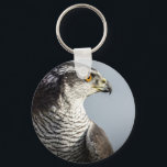 Peregrine Falcon Keyring<br><div class="desc">Peregrine Falcon</div>