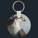 Peregrine Falcon Keyring<br><div class="desc">Peregrine Falcon</div>