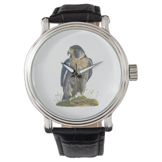 Peregrine Falcon Leather strapped wrist watch