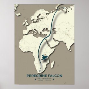 Peregrine Falcon Migration Map – Minimalist Poster