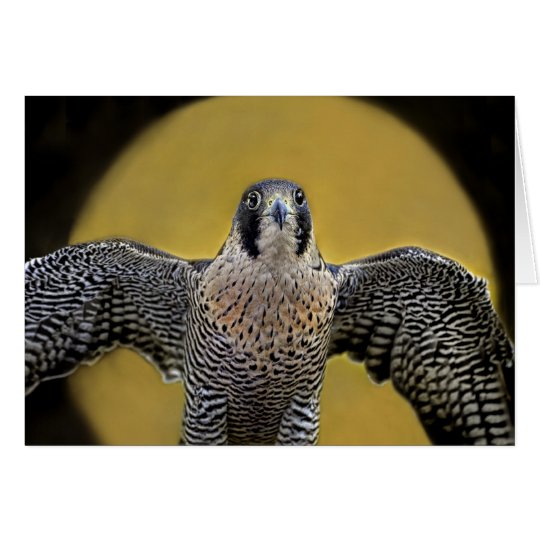 Peregrine Falcon Moon Rising Card